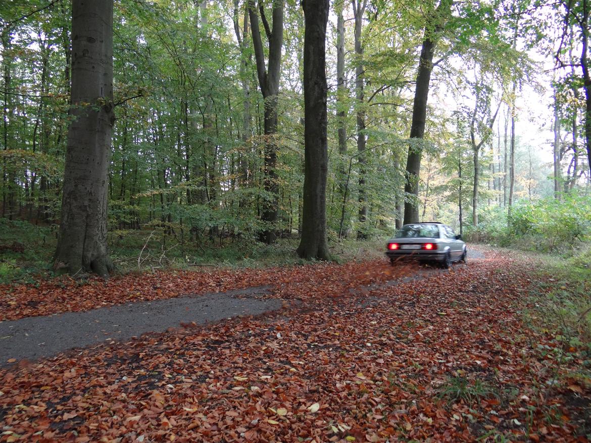 BMW E30 320i billede 18