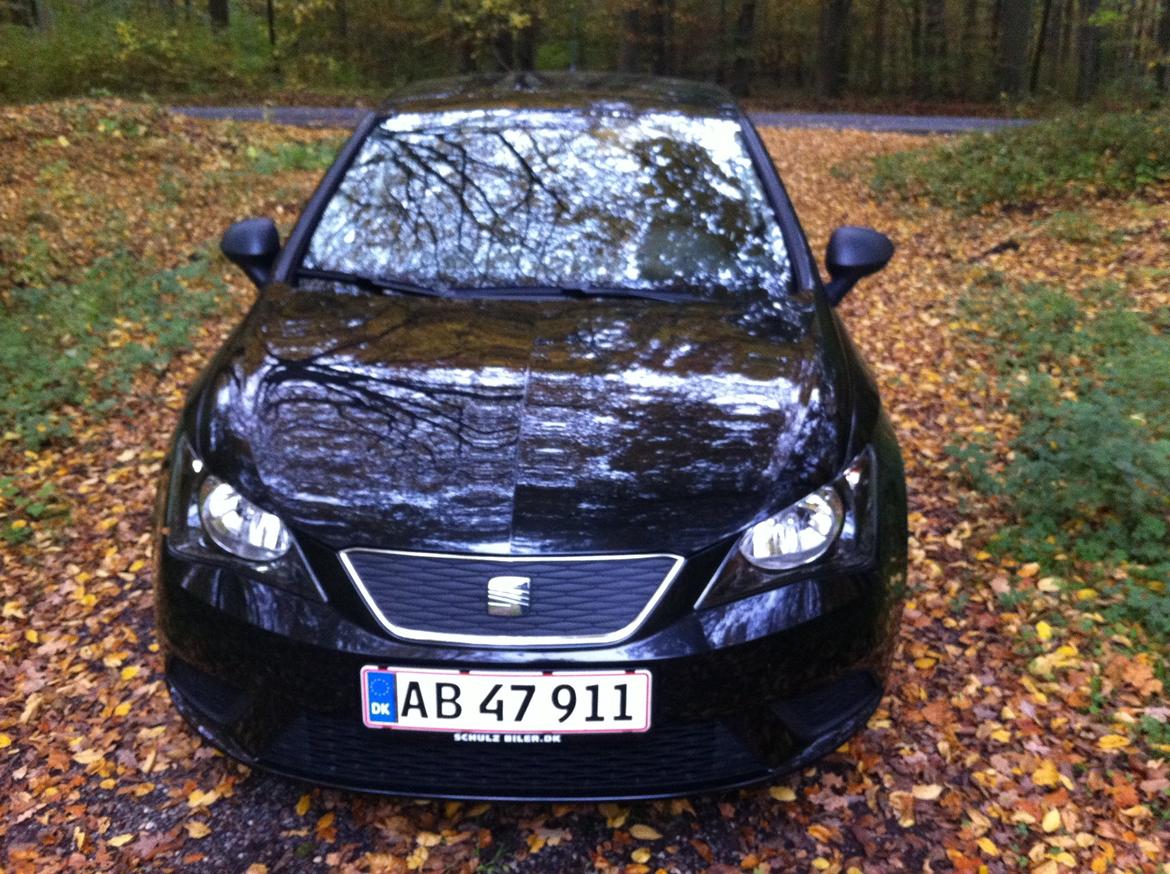 Seat IBIZA 6j5 E-Ecomotive billede 1