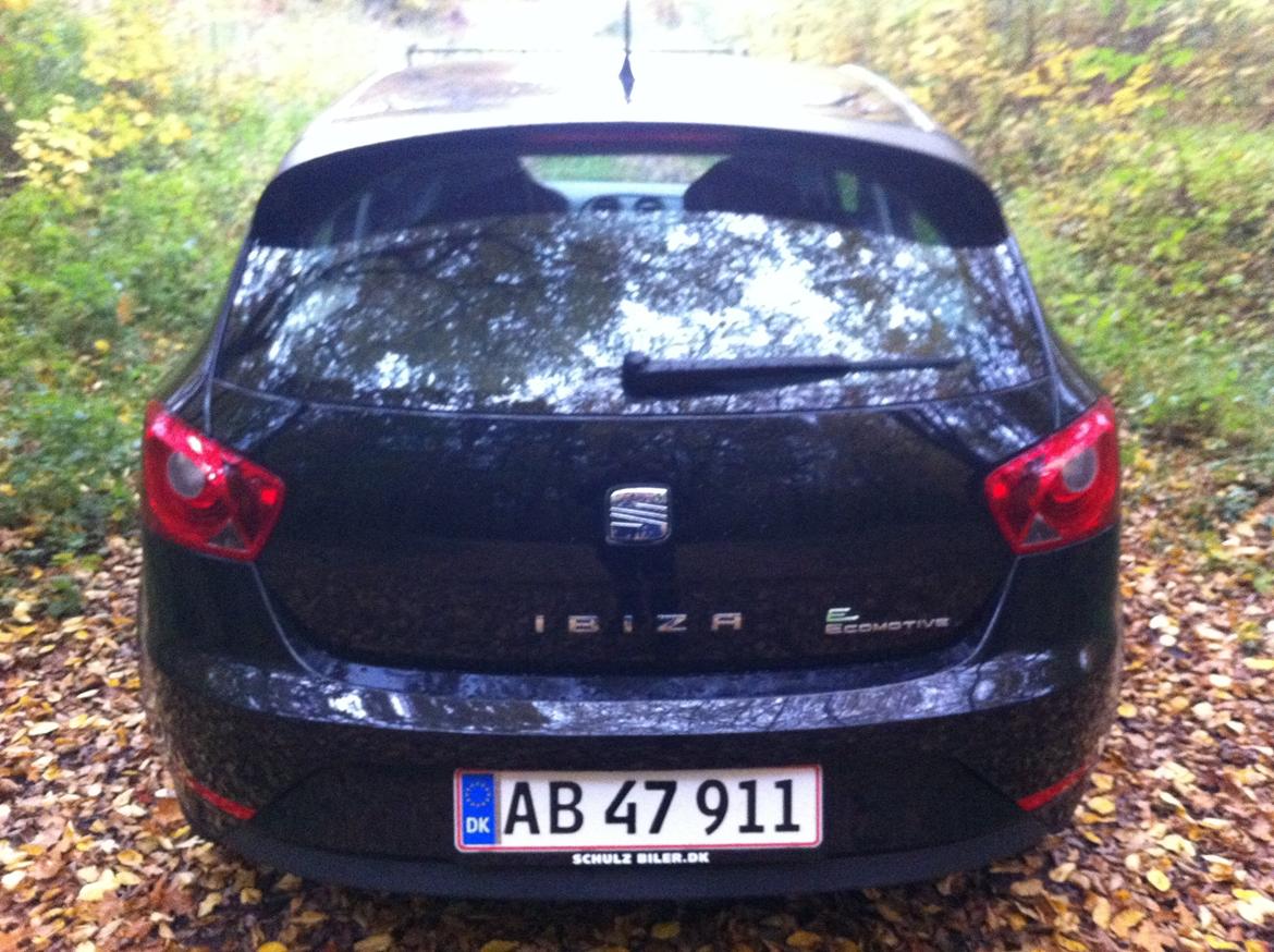 Seat IBIZA 6j5 E-Ecomotive billede 6