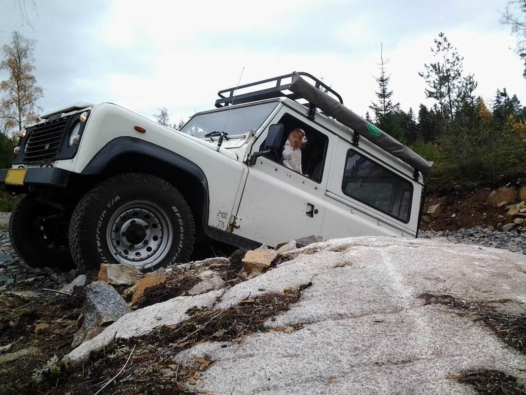 Land Rover 90" billede 3