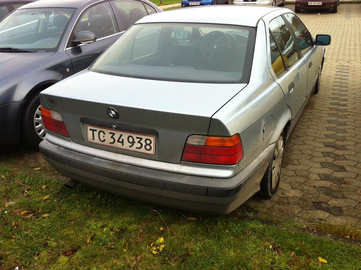 BMW E36 billede 3