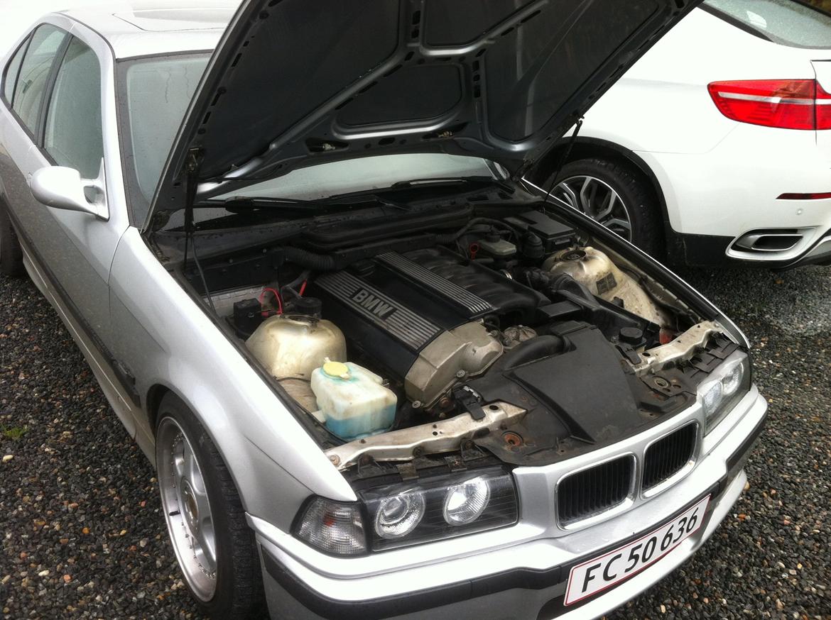 BMW E36 RIP billede 6