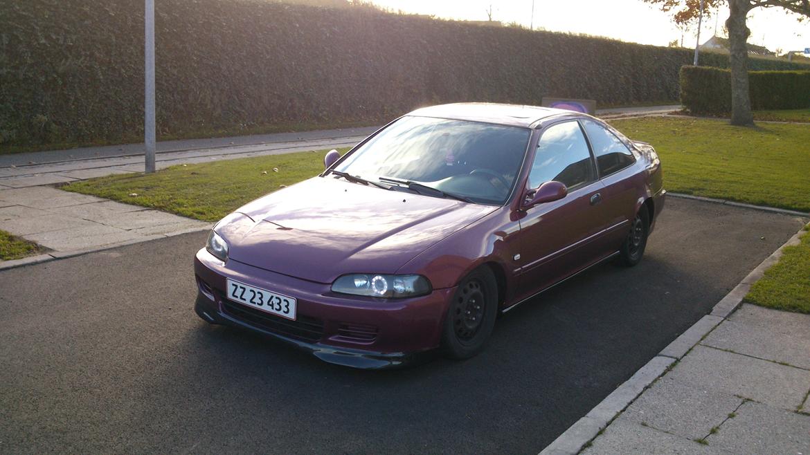 Honda civic 1,5 16v coupe billede 3