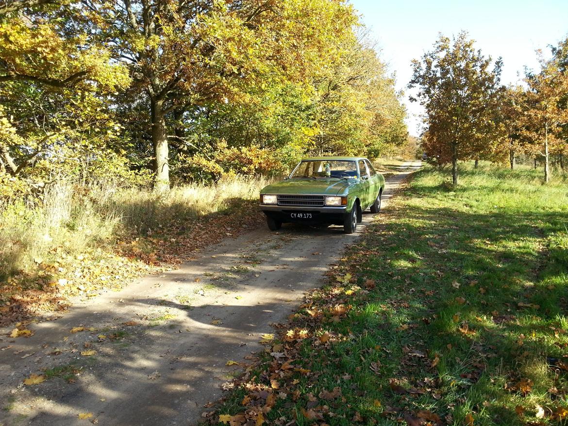 Ford consul/granada billede 9