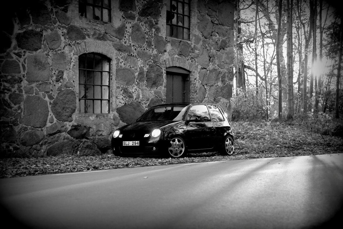 VW Lupoghini billede 15