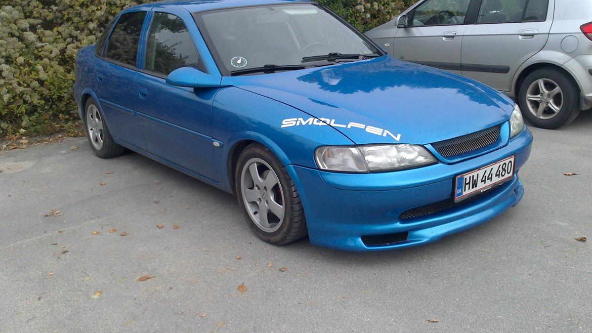 Opel Vectra B "Smølfen" billede 2