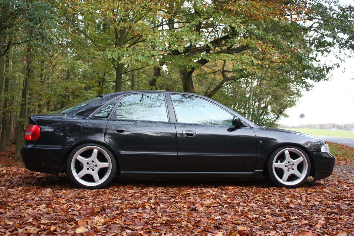 Audi A4 B5 billede 5