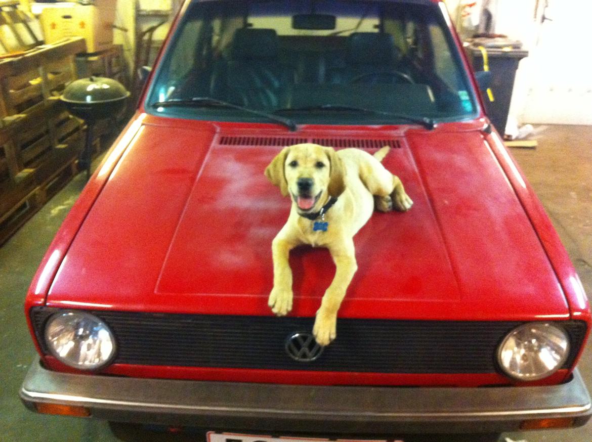 VW Golf 1 1,9 TD billede 15