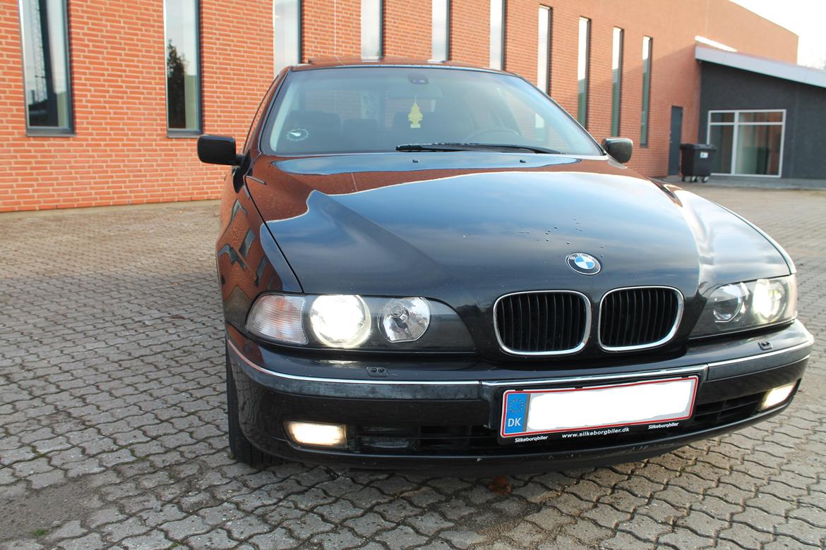 BMW 523i billede 2
