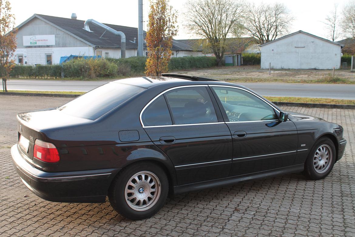 BMW 523i billede 4