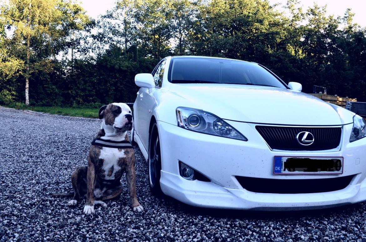 Lexus IS220D billede 5