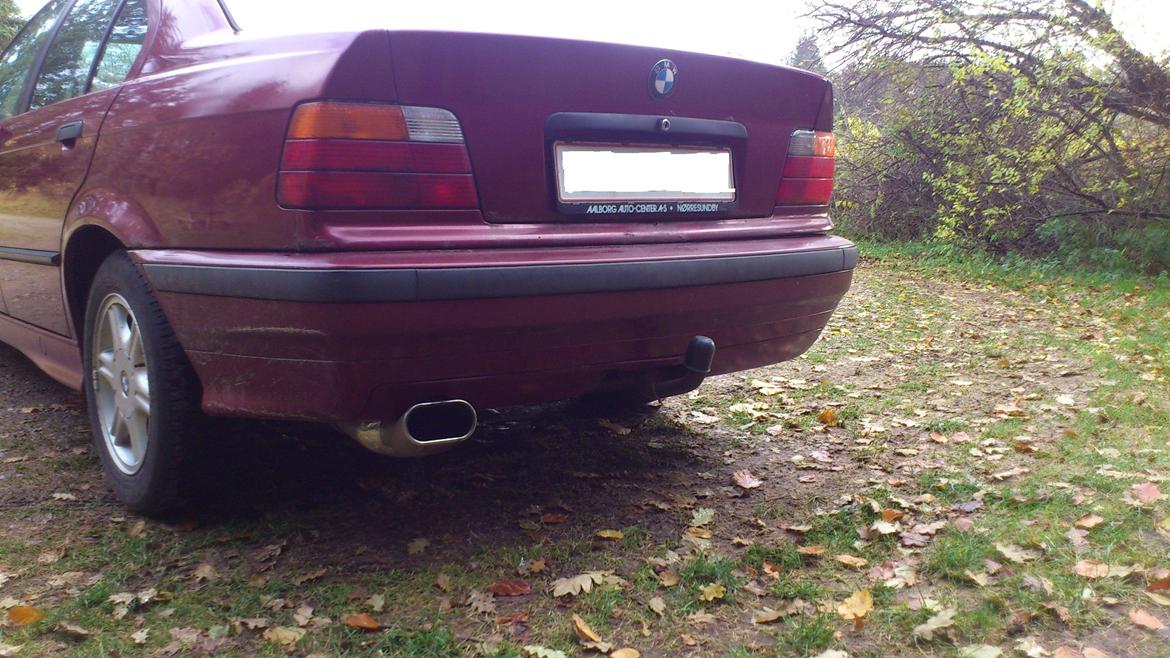 BMW 316i billede 5