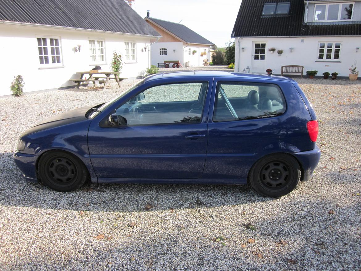 VW Polo 6N 1.4 16V billede 8