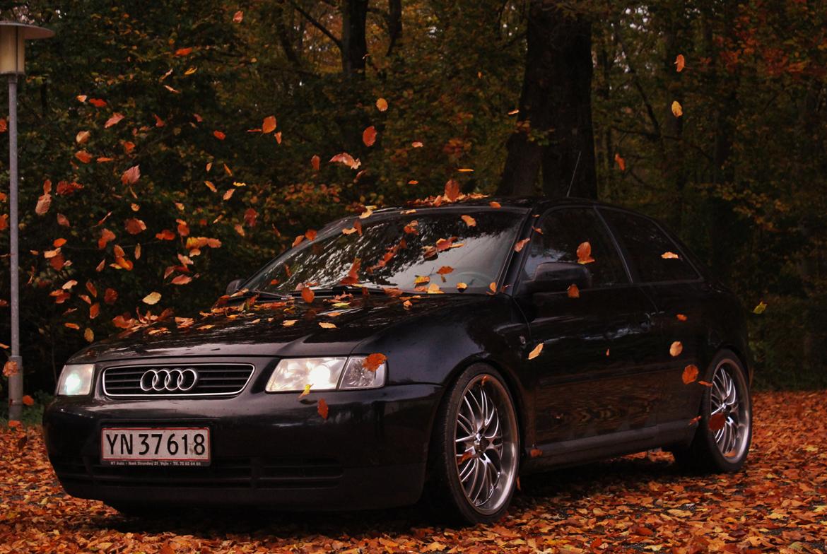 Audi a3 billede 1