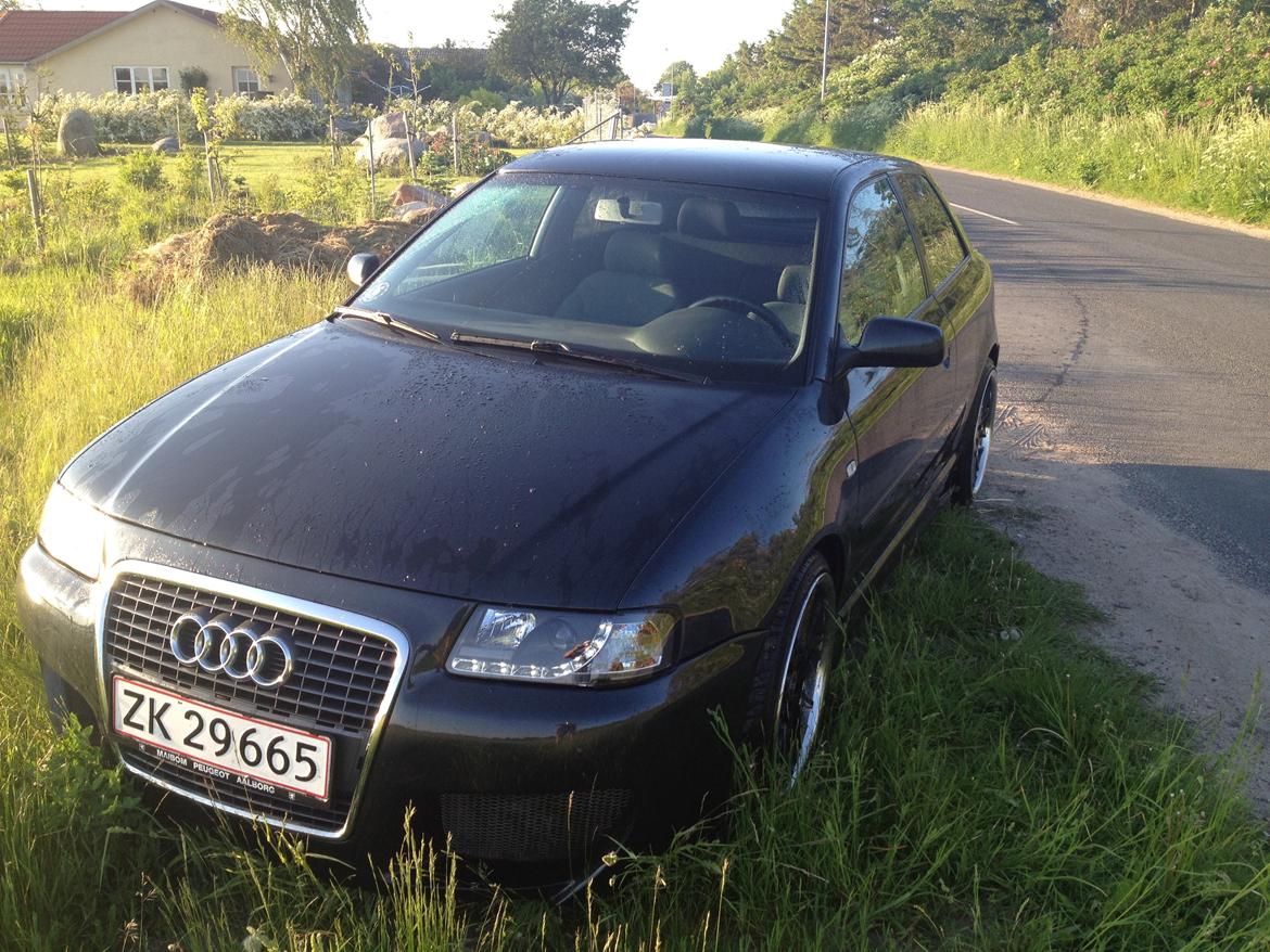 Audi A3 1.8 T billede 13