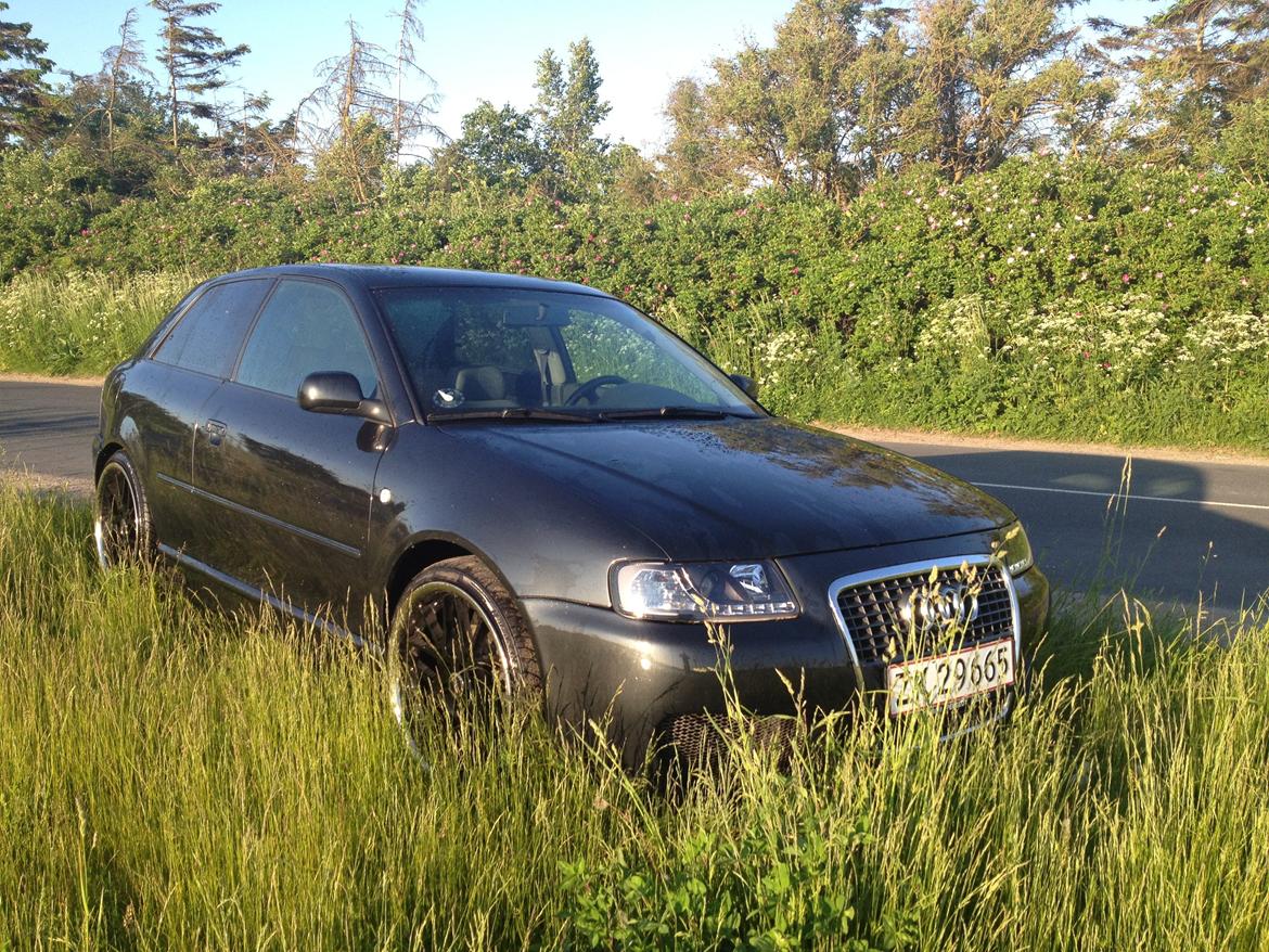 Audi A3 1.8 T billede 14