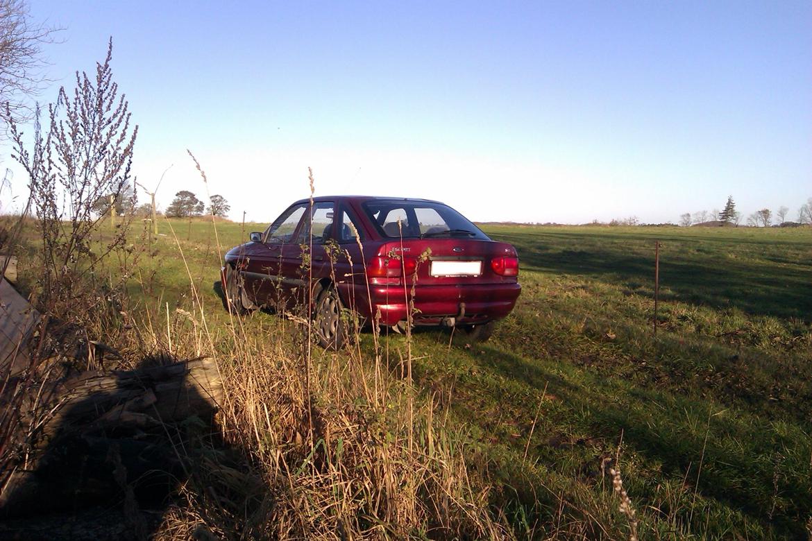 Ford Escort 1.6 16v billede 7