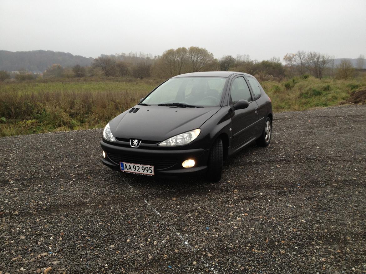 Peugeot 206 S16 billede 1