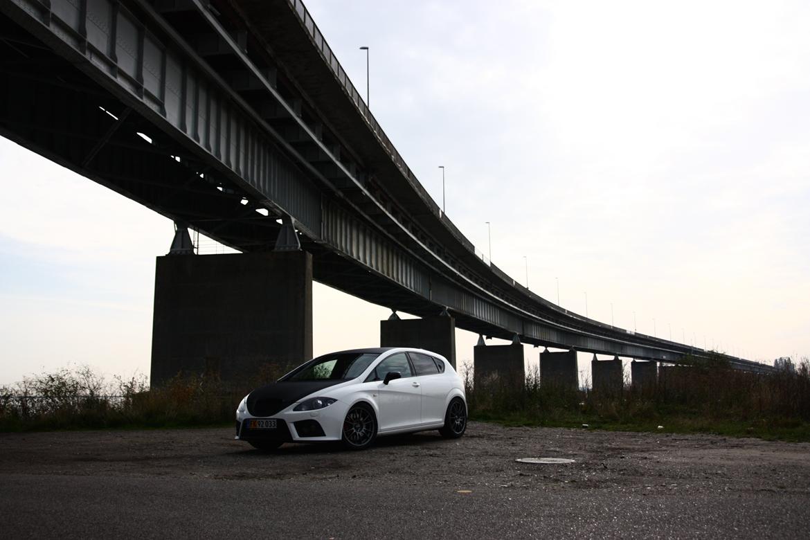 Seat Leon Cupra 370 HK billede 18