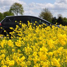 Seat Leon 2.0 TDI Sport-Up "" solgt ""