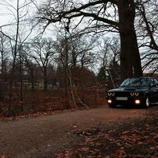 BMW E30 *M50B20* *TYSKEREN*