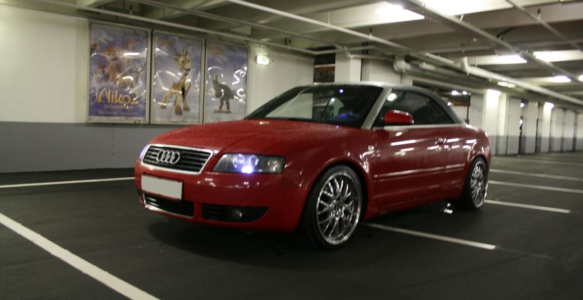 Audi A4 Cabriolet billede 5
