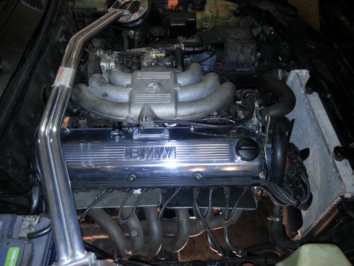 BMW E30 325I TOURING - hesten efter montering billede 7