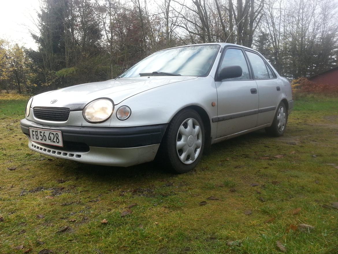 Toyota Corolla - Den bliver ok lav med vinterhjul . billede 3