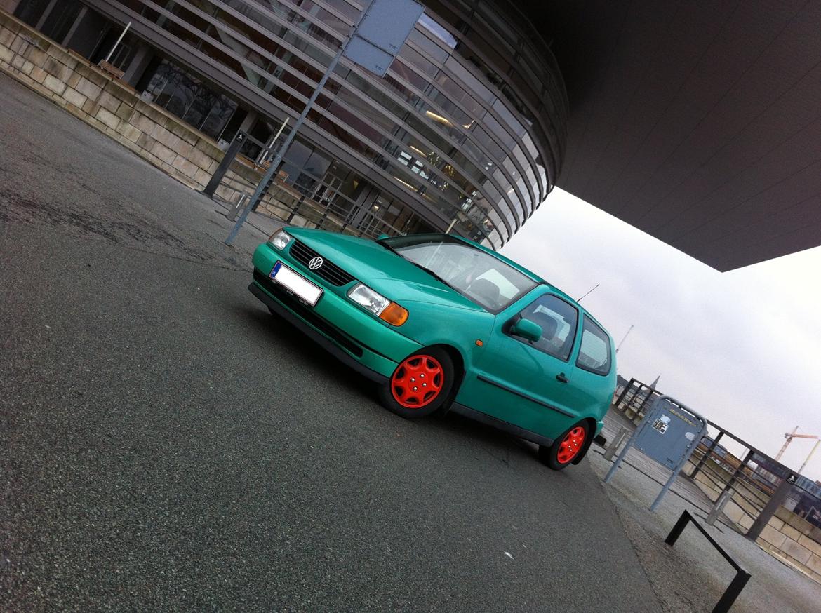 VW Polo 6N (Vinterbilen) billede 3