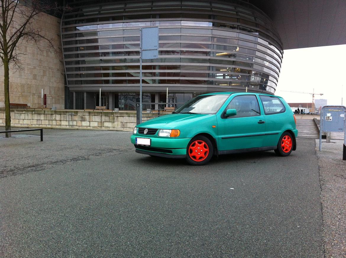 VW Polo 6N (Vinterbilen) billede 13