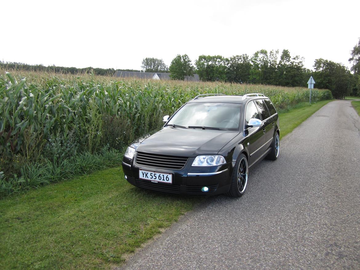 VW Passat 3BG billede 1