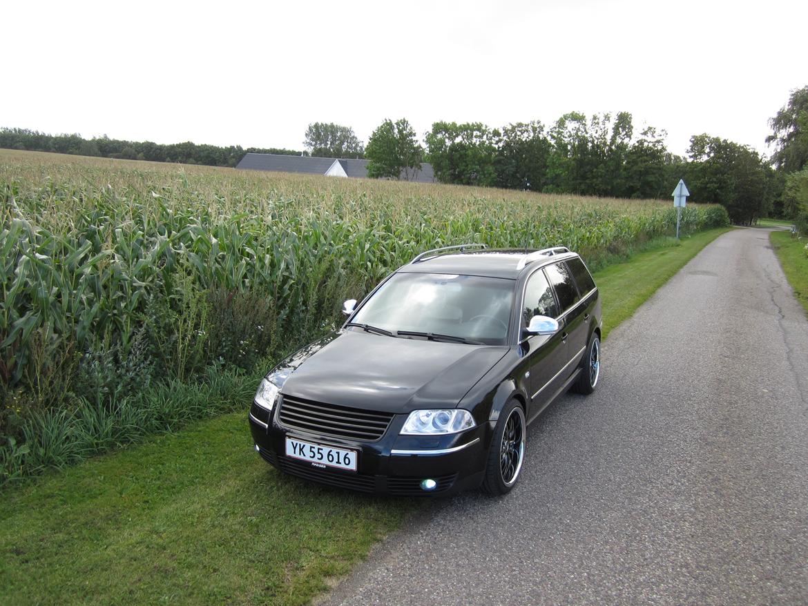 VW Passat 3BG billede 4