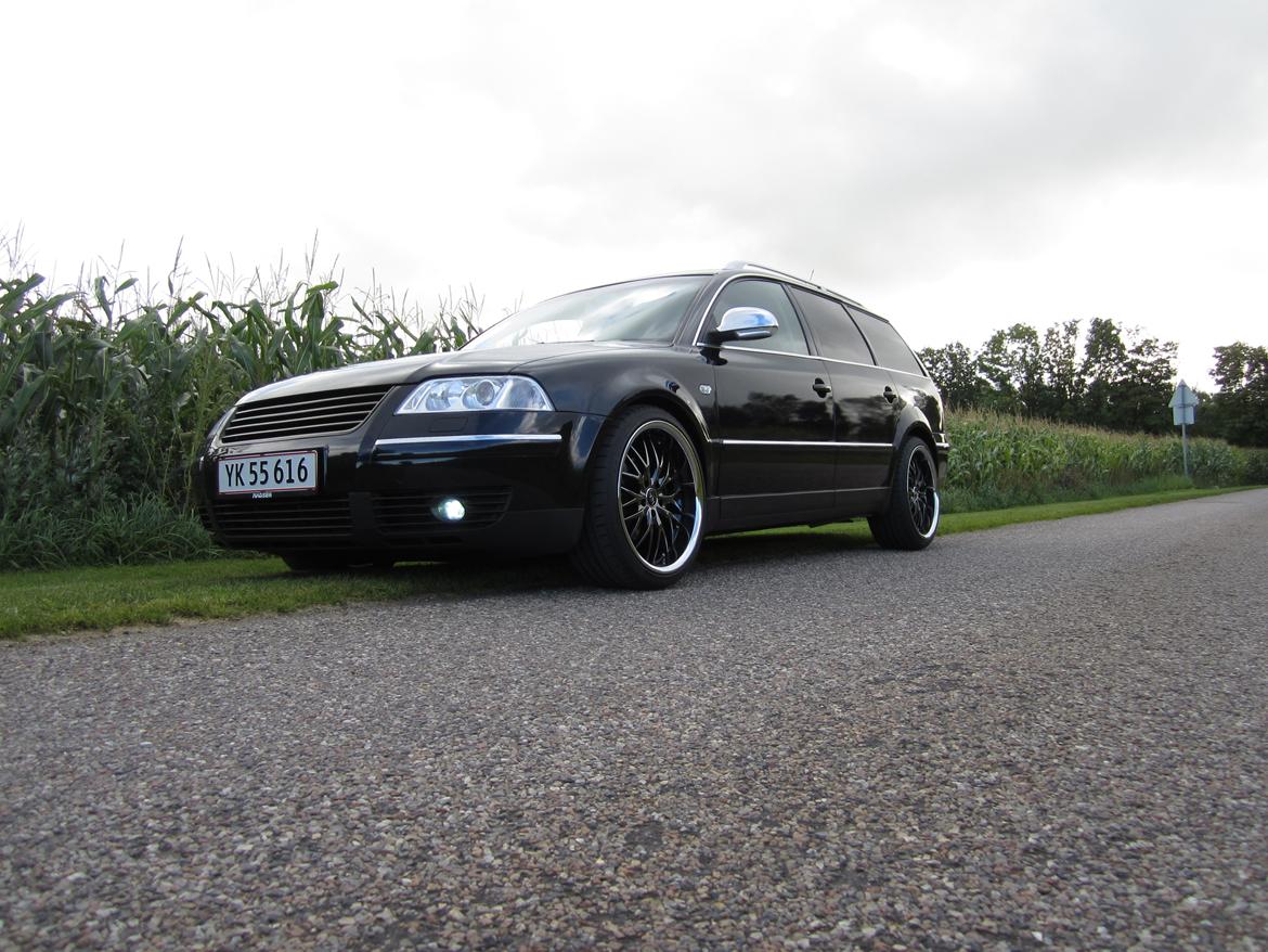 VW Passat 3BG billede 5
