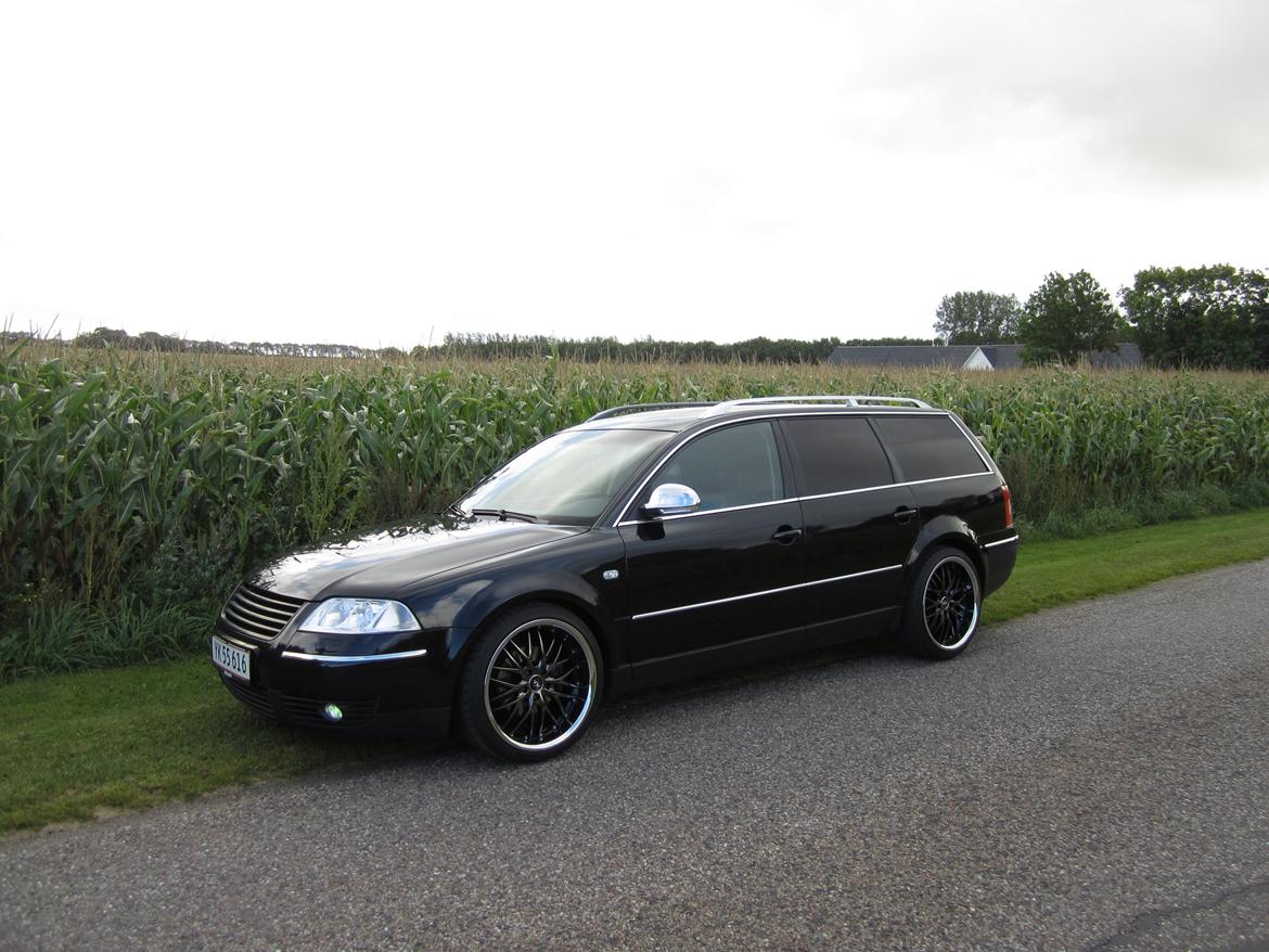VW Passat 3BG billede 6