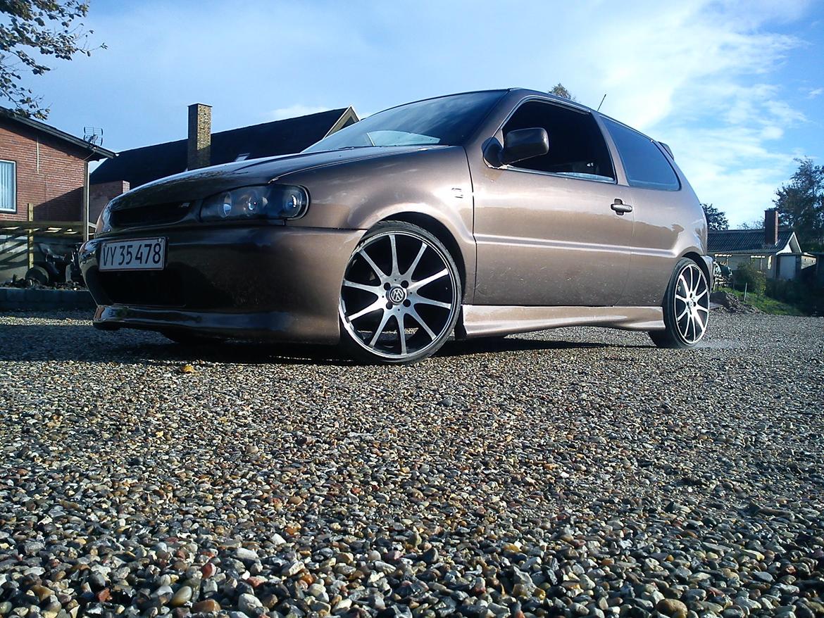 VW Polo 6N Special Color Edition billede 2