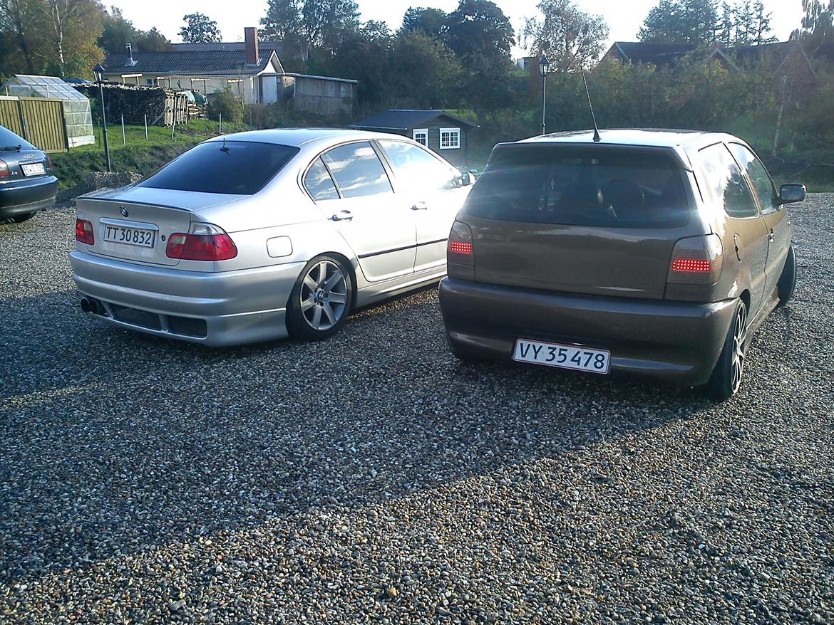 VW Polo 6N Special Color Edition billede 3