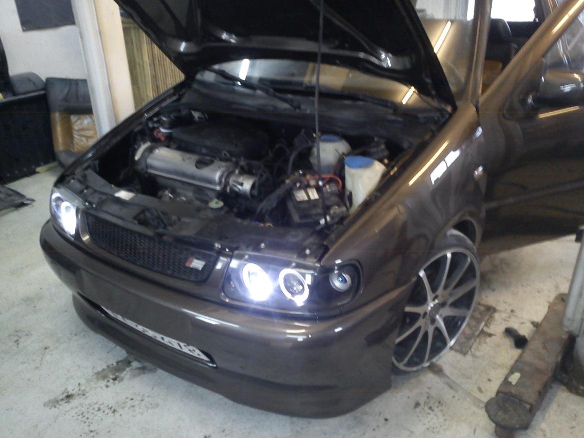 VW Polo 6N Special Color Edition billede 9