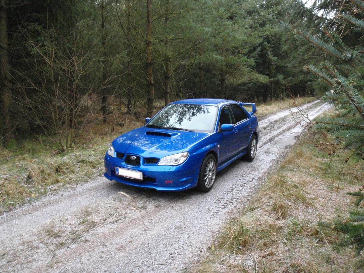 Subaru Impreza WRX STI billede 16