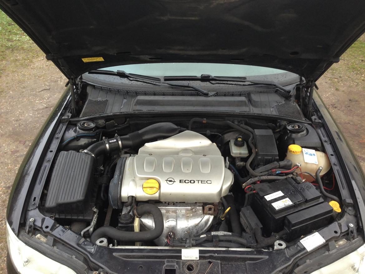 Opel Vectra B 1,8 16V billede 10