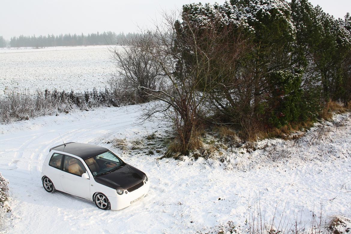 VW Lupo 1,4 16v billede 20