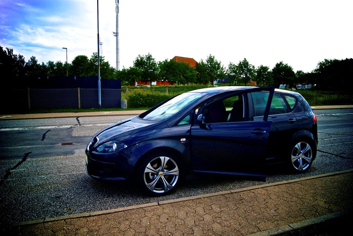 Seat Altea Van 2.0 Tdi billede 1