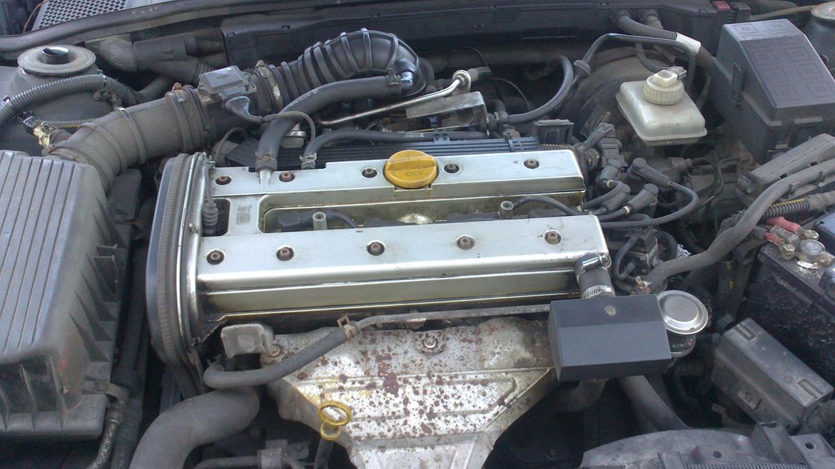 Opel Vectra B solgt billede 16