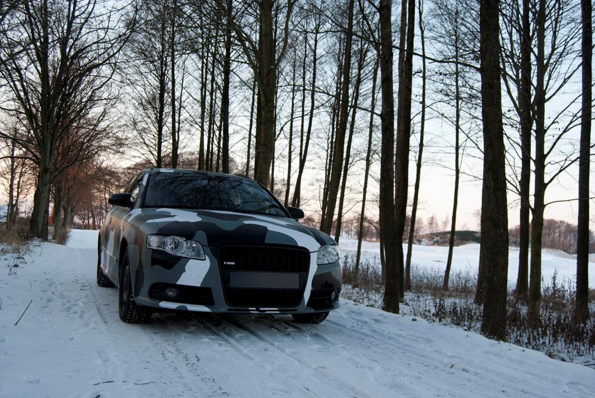 Audi A4 B7 Avant "Camo" billede 3