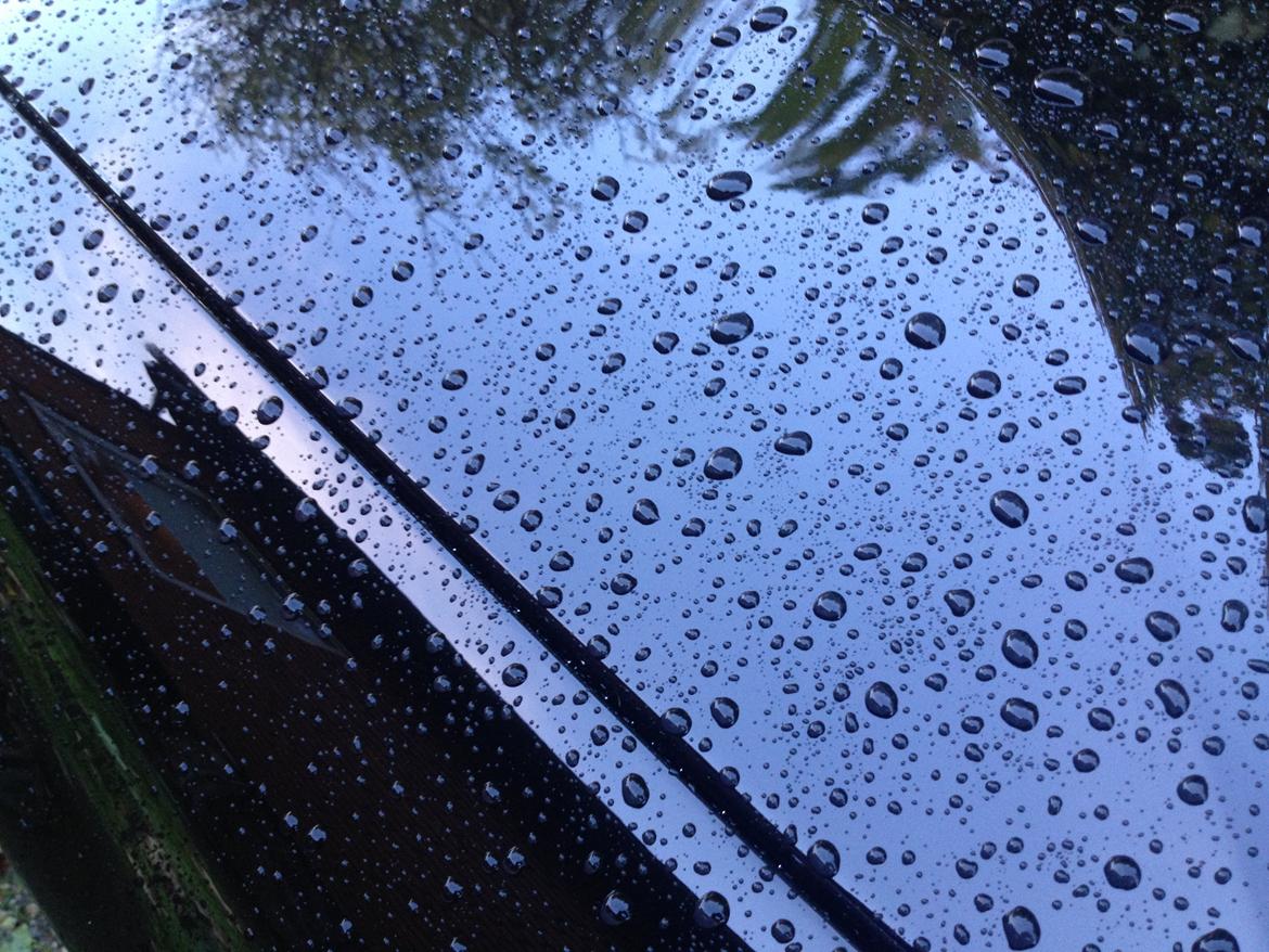 VW Passat Variant billede 12