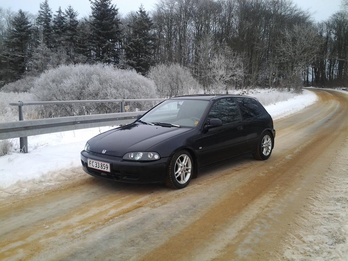 Honda civic billede 8