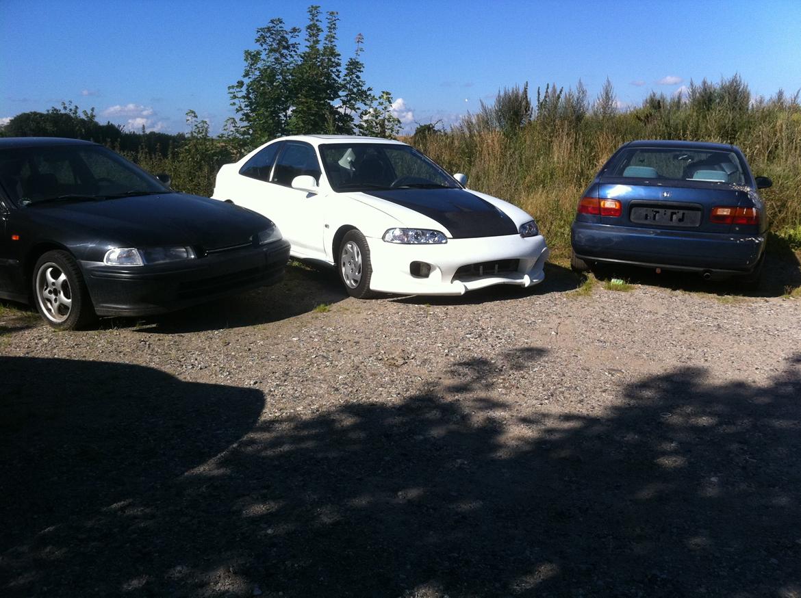 Honda Civic Coupe (SOLGT) billede 6