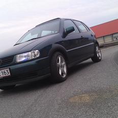 VW Polo 6N