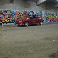 Peugeot 206 2,0 8V HDI +