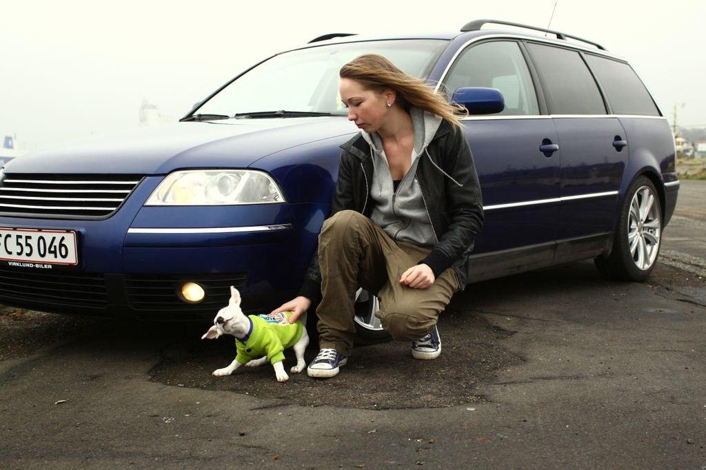 VW Passat AVF Highline Variant billede 13