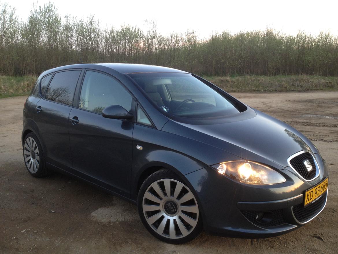 Seat Altea billede 10